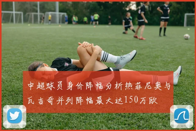 中超球员身价降幅分析热菲尼奥与瓦吉奇并列降幅最大达150万欧