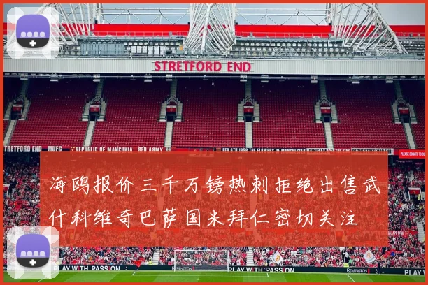 海鸥报价三千万镑热刺拒绝出售武什科维奇巴萨国米拜仁密切关注